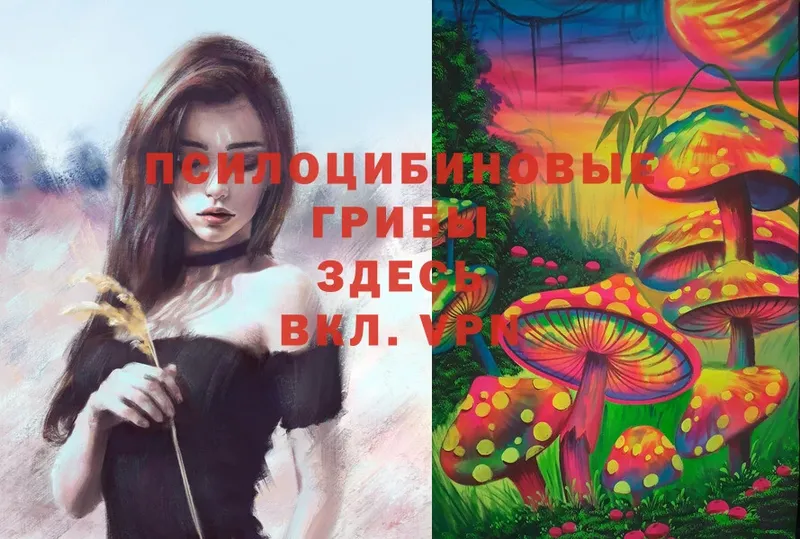 Галлюциногенные грибы Cubensis  Азов 